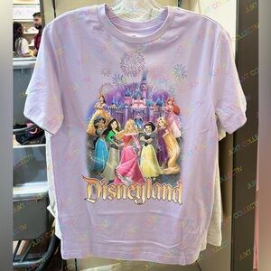 Disneyland Castle Disney Princess Shirt